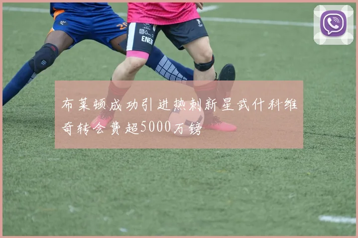 布莱顿成功引进热刺新星武什科维奇转会费超5000万镑